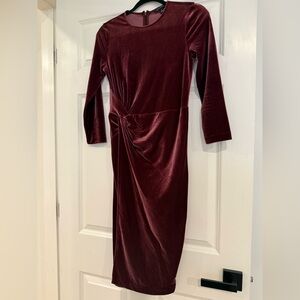 Banana Republic Velvet Long Sleeve Dress - Deep Burgundy